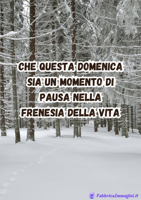 Che questa domenica sia un momento di pausa nella frenesia della vita
