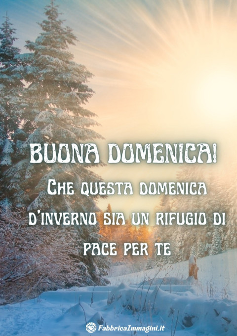 Che questa domenica d'inverno sia un rifugio di pace per te