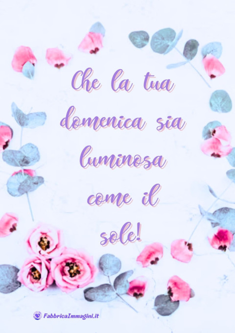Che la tua domenica sia luminosa come il sole!