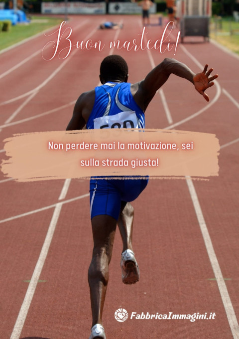 Buon martedì! Non perdere mai la motivazione, sei sulla strada giusta!