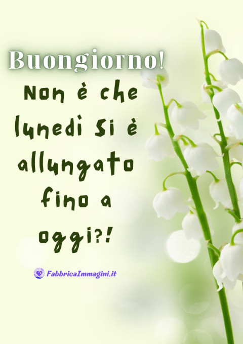 Buongiorno! Non è che lunedì si è allungato fino a oggi!