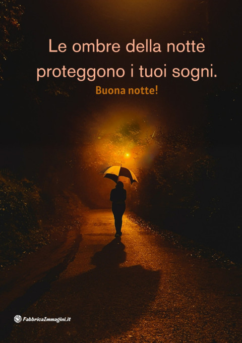 Le ombre della notte proteggono i tuoi sogni Buona notte!