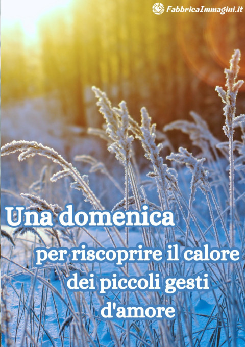 Una domenica per riscoprire il calore dei piccoli gesti d'amore