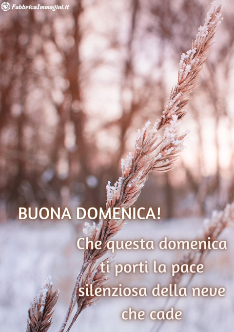 Che questa domenica ti porti la pace silenziosa della neve che cade