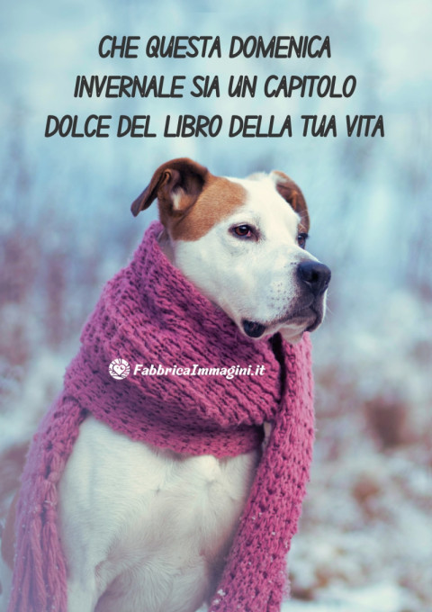 Che questa domenica invernale sia un capitolo dolce del libro della tua vita