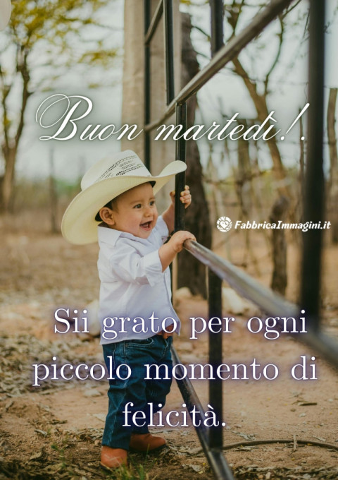 Buon martedì! Sii grato per ogni piccolo momento di felicità