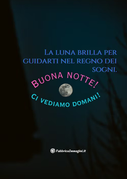 La luna brilla per guidarti nel regno dei sogni Buona notte! Ci vediamo domani!