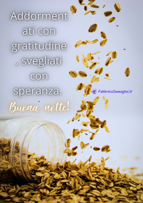 Addormentati con gratitudine, svegliati con speranza Buona notte!
