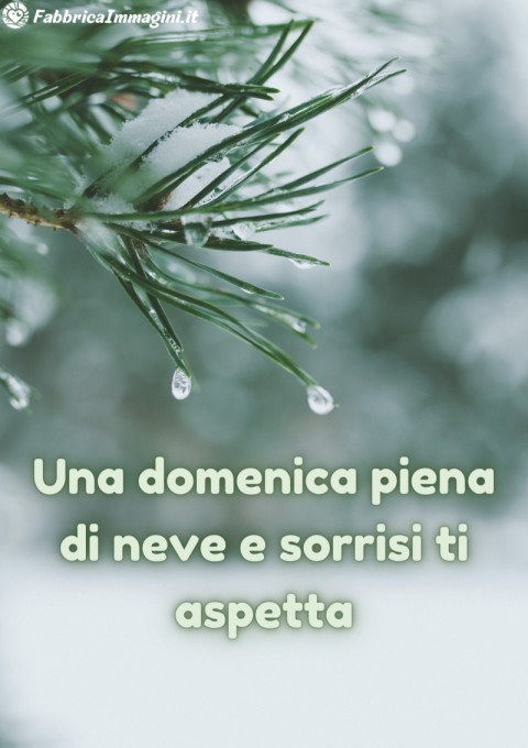 Una domenica piena di neve e sorrisi ti aspetta