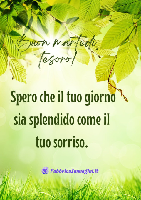 Buon martedì, tesoro! Spero che il tuo giorno sia splendido come il tuo sorriso