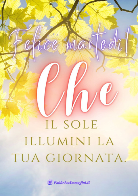 Felice martedì! Che il sole illumini la tua giornata