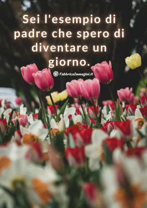 Sei l'esempio di padre che spero di diventare un giorno