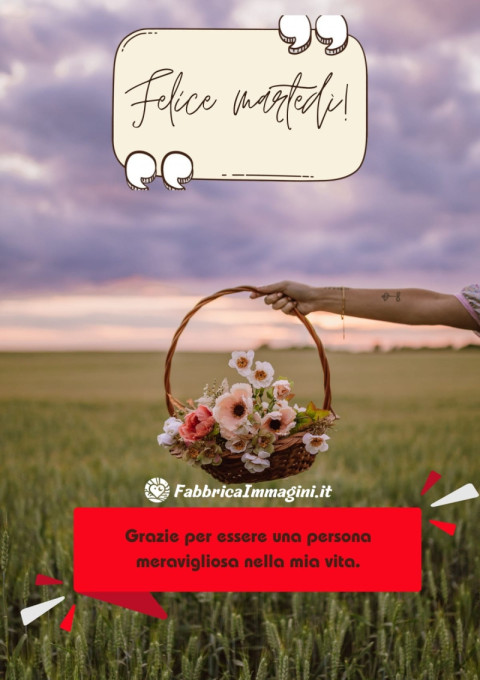 Felice martedì! Grazie per essere una persona meravigliosa nella mia vita (1)