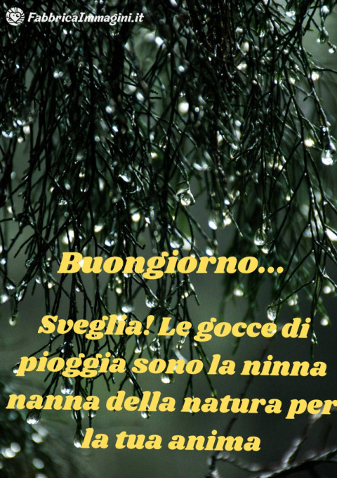 Sveglia! Le gocce di pioggia sono la ninna nanna della natura per la tua anima