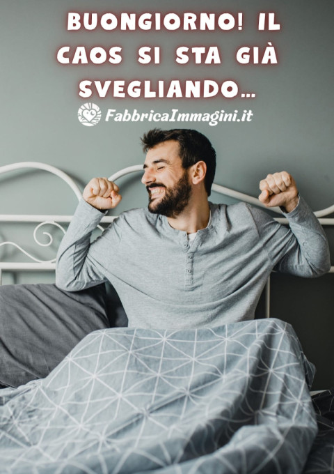 Buongiorno! Il caos si sta già svegliando…