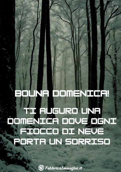 Ti auguro una domenica dove ogni fiocco di neve porta un sorriso