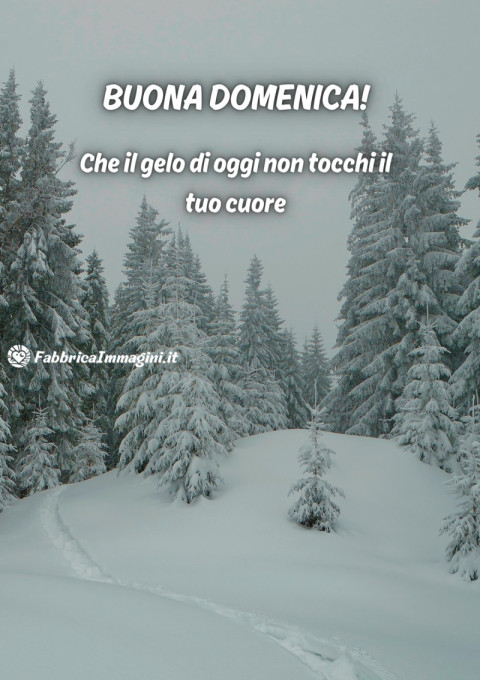 Buona domenica! Che il gelo di oggi non tocchi il tuo cuore