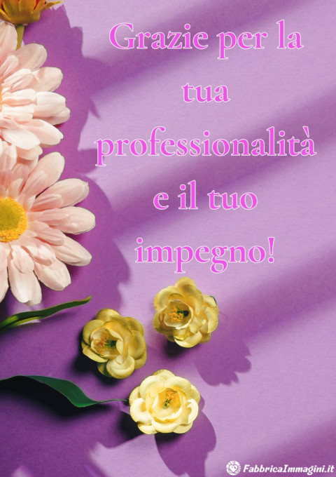 Grazie per la tua professionalità e il tuo impegno!