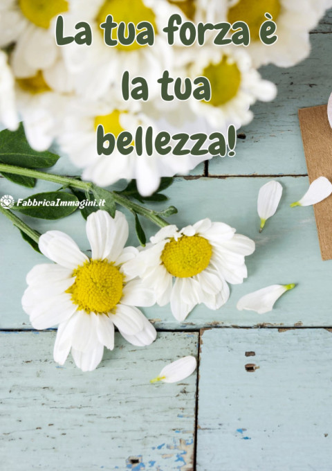 La tua forza è la tua bellezza!