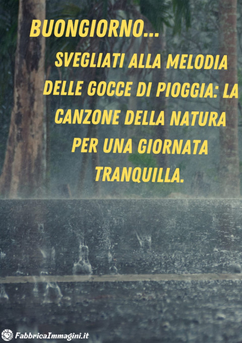Svegliati alla melodia delle gocce di pioggia la canzone della natura per una giornata tranquilla