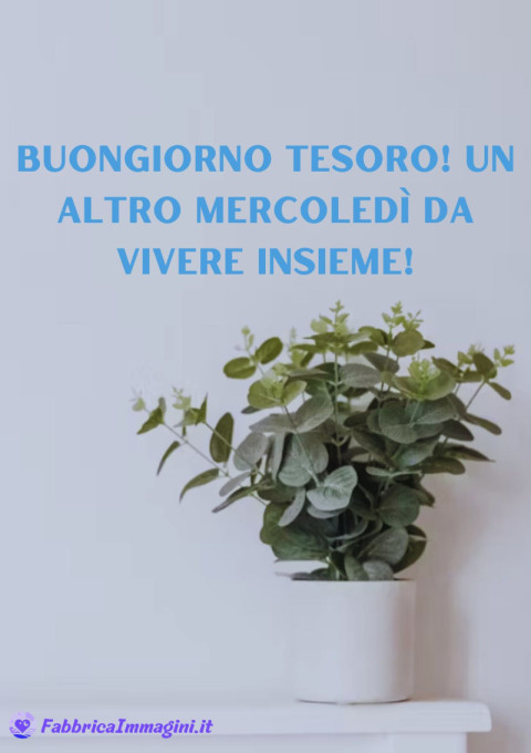 Buongiorno tesoro! Un altro mercoledì da vivere insieme!