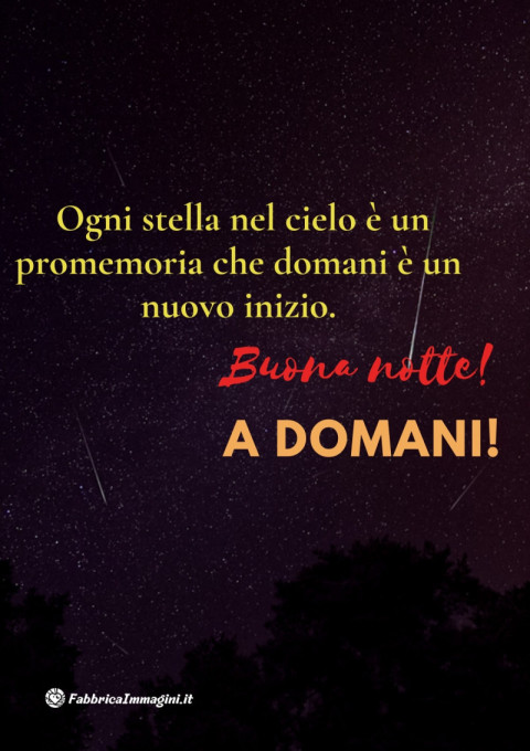 Ogni stella nel cielo è un promemoria che domani è un nuovo inizio Buona notte! A domani!