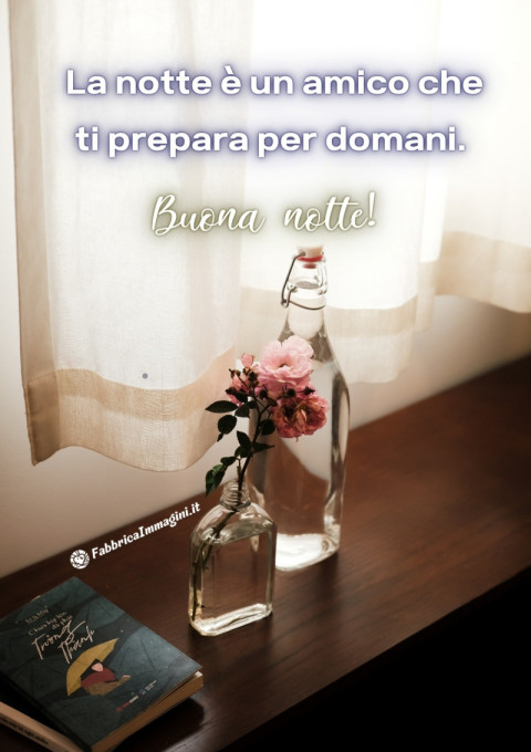 La notte è un amico che ti prepara per domani Buona notte!