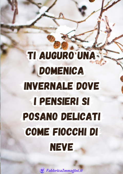 Ti auguro una domenica invernale dove i pensieri si posano delicati come fiocchi di neve