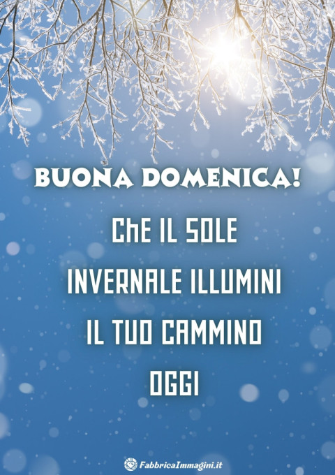 Buona domenica! Che il sole invernale illumini il tuo cammino oggi