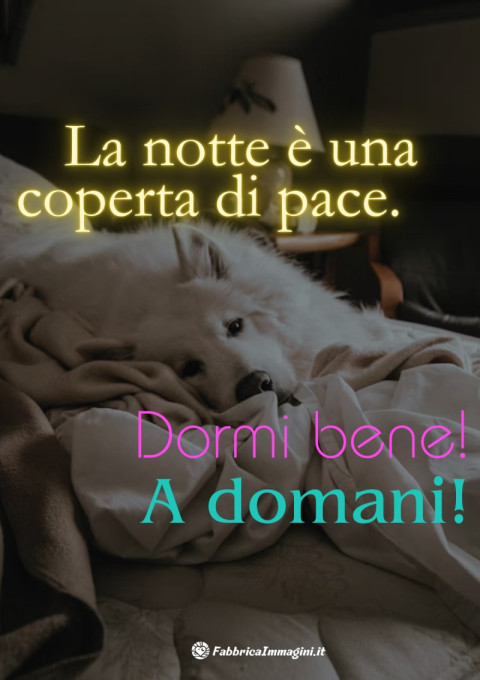 La notte è una coperta di pace Dormi bene! A domani!