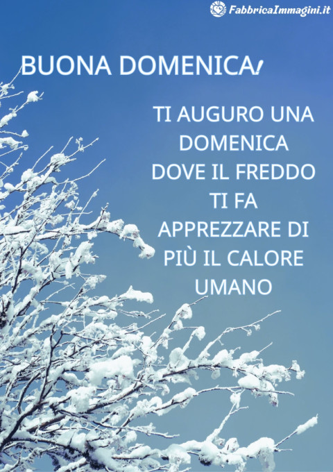 Ti auguro una domenica dove il freddo ti fa apprezzare di più il calore umano