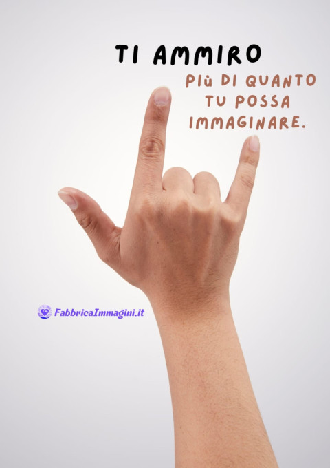 Ti ammiro più di quanto tu possa immaginare