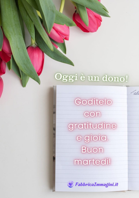 Oggi è un dono! Goditelo con gratitudine e gioia Buon martedì!