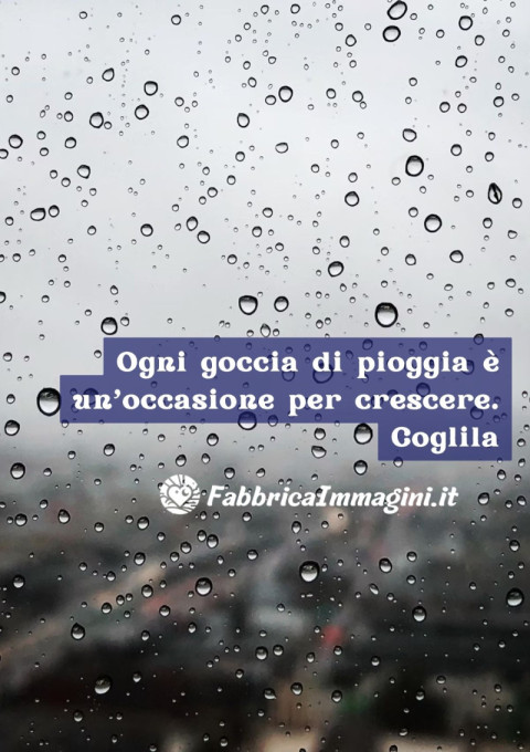 Ogni goccia di pioggia è un’occasione per crescere Coglila