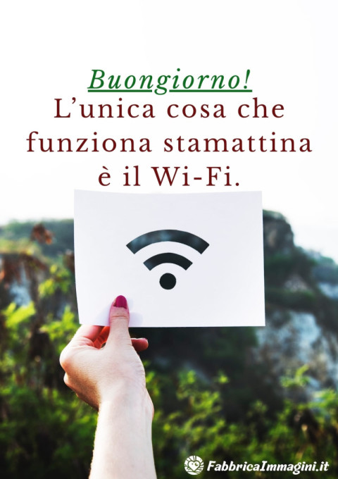 Buongiorno! L’unica cosa che funziona stamattina è il Wi Fi