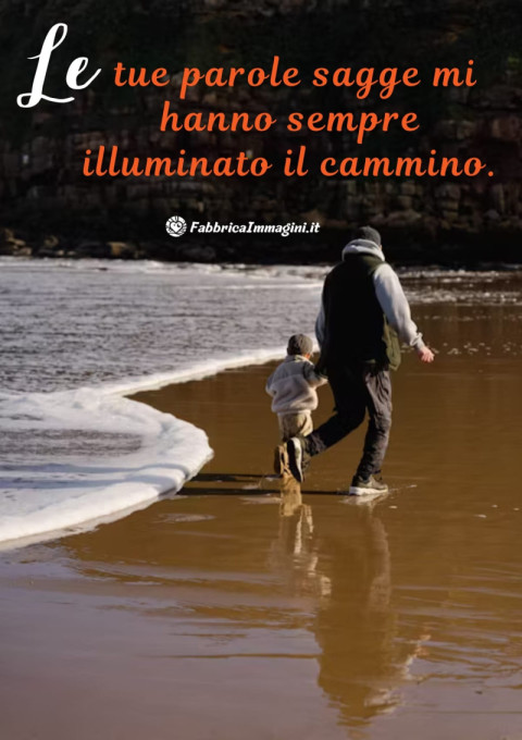 Le tue parole sagge mi hanno sempre illuminato il cammino