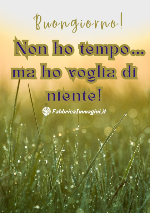 Buongiorno! Non ho tempo… ma ho voglia di niente!
