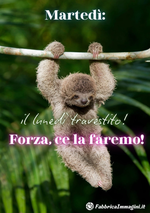 Martedì il lunedì travestito! Forza, ce la faremo!
