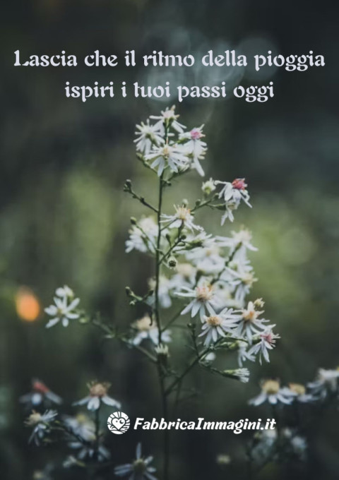 Lascia che il ritmo della pioggia ispiri i tuoi passi oggi