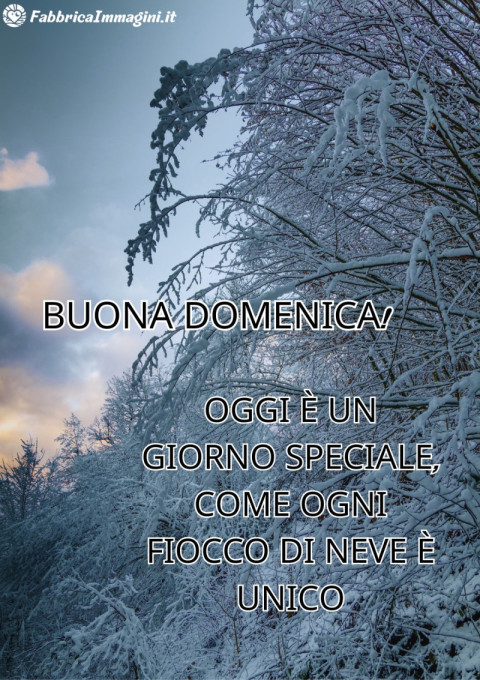Buona domenica! Oggi è un giorno speciale, come ogni fiocco di neve è unico