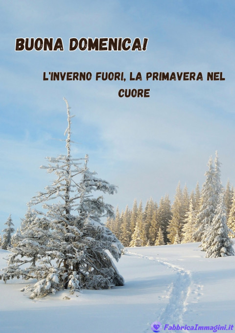 Buona domenica! L'inverno fuori, la primavera nel cuore