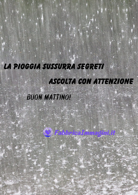 La pioggia sussurra segreti ascolta con attenzione Buon mattino!