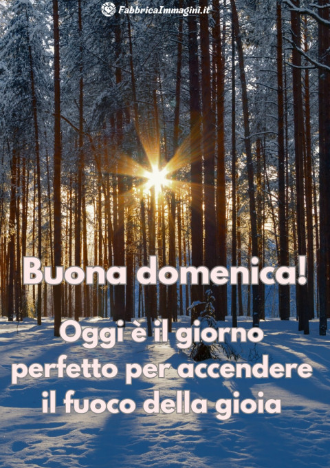 Buona domenica! Oggi è il giorno perfetto per accendere il fuoco della gioi