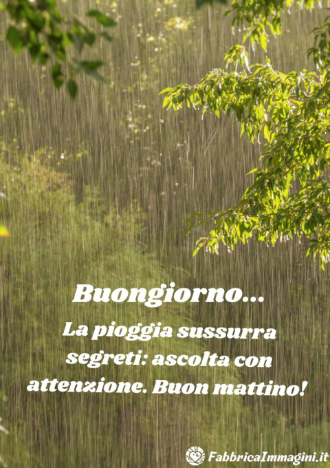 La pioggia sussurra segreti ascolta con attenzione Buon mattino!