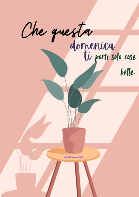 Che questa domenica ti porti solo cose belle