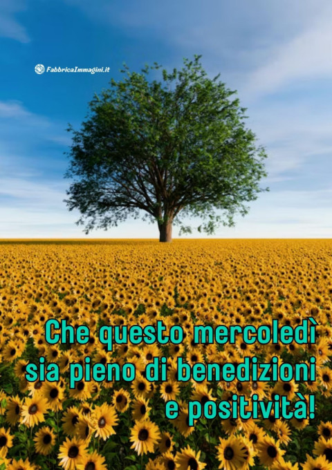 Che questo mercoledì sia pieno di benedizioni e positività!