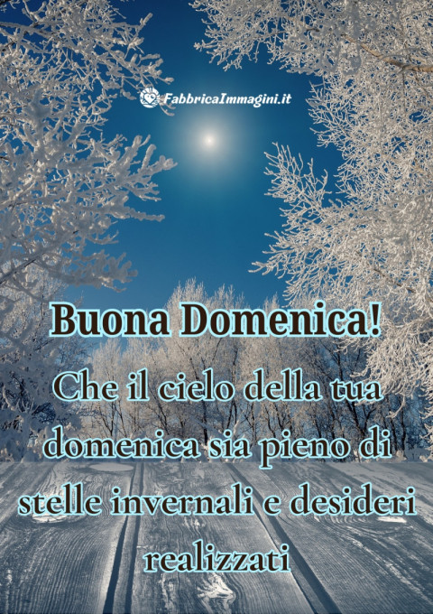 Che il cielo della tua domenica sia pieno di stelle invernali e desideri realizzati