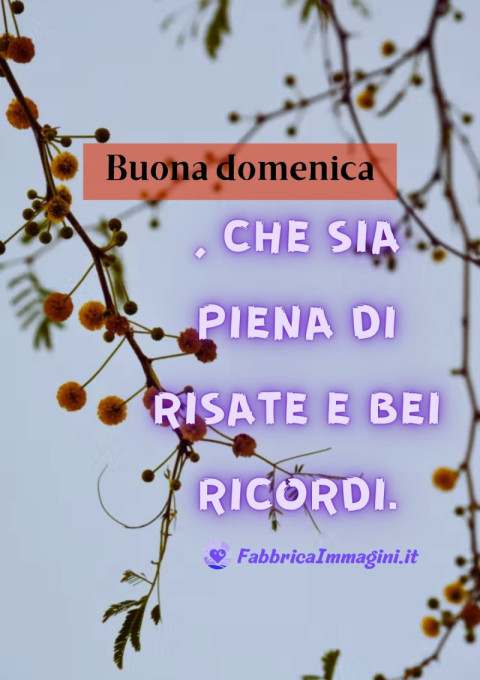 Buona domenica, che sia piena di risate e bei ricordi