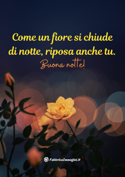 Come un fiore si chiude di notte, riposa anche tu Buona notte!
