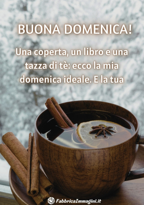 Una coperta, un libro e una tazza di tè ecco la mia domenica ideale E la tua